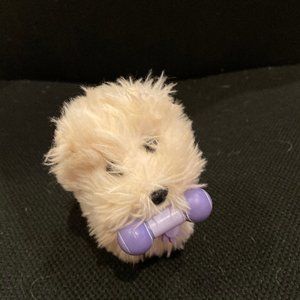 American Girl - Coconut Dog